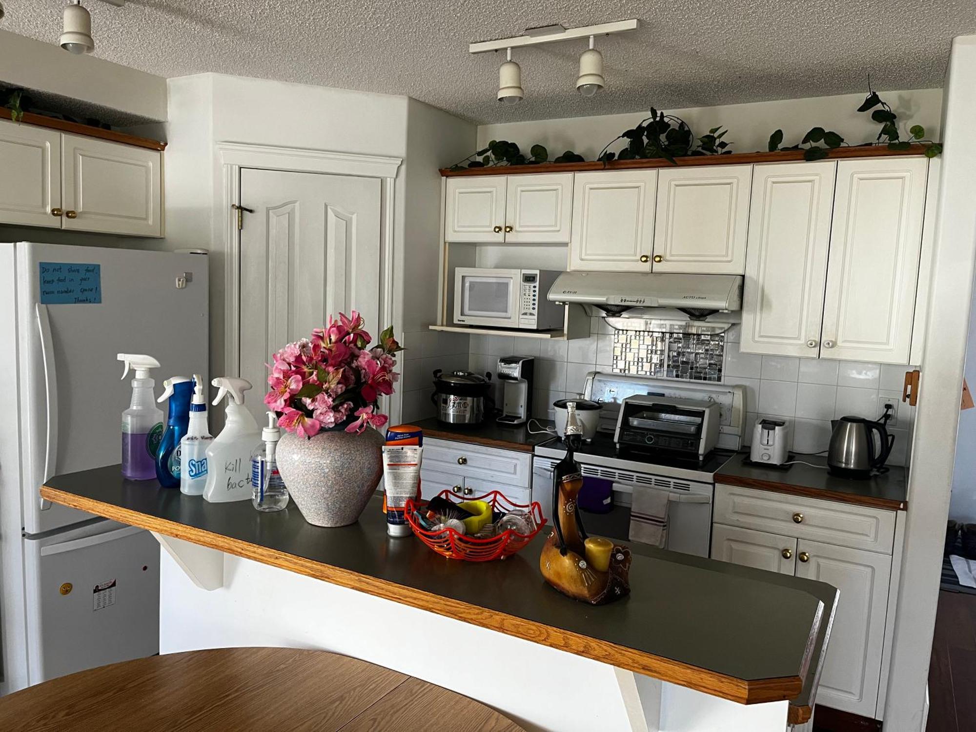 Hidden Valley New Basement With Private Bathroom! *